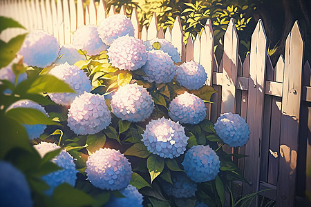 花园中美丽的绣球花图片