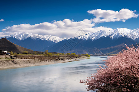 户外宁静的自然风景图片