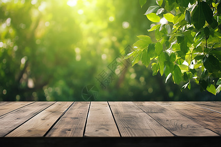 户外森林的木板背景图片