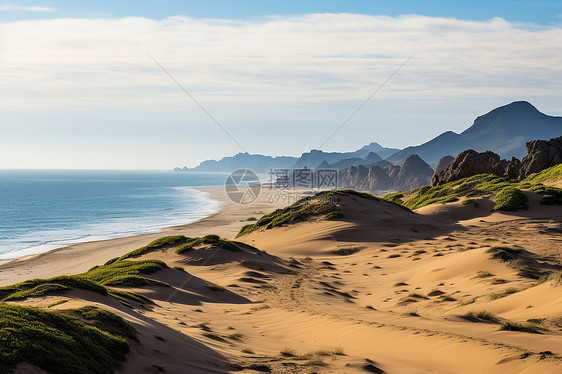 太阳下的海滩风景图片