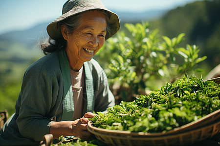 快乐的老年茶农图片