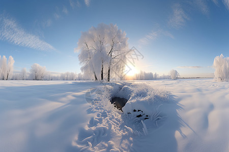 冬日白雪皑皑的田野图片