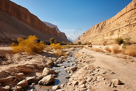 河流穿越沙漠景观图片