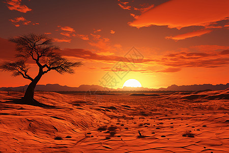 沙漠中孤独树下的红色日落图片