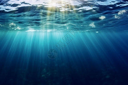 海底水下风景图片
