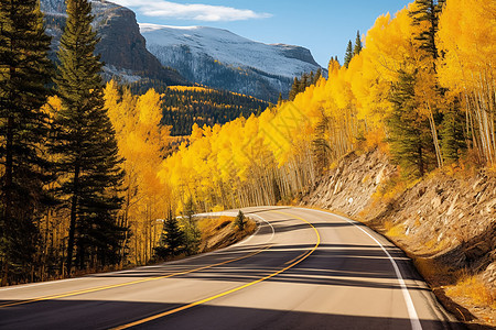 秋天的山路背景图片