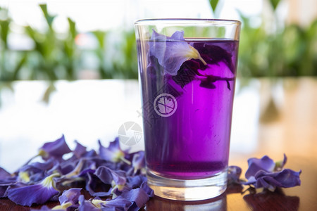 花瓶摆件紫色清爽的背景