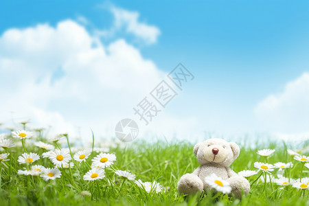 玩具熊坐在草地上图片