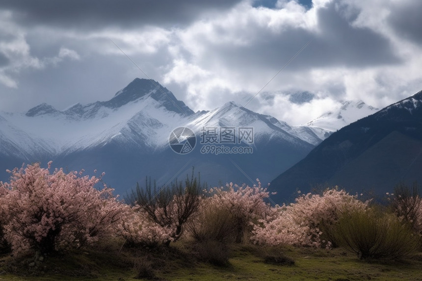 雪山景观图片