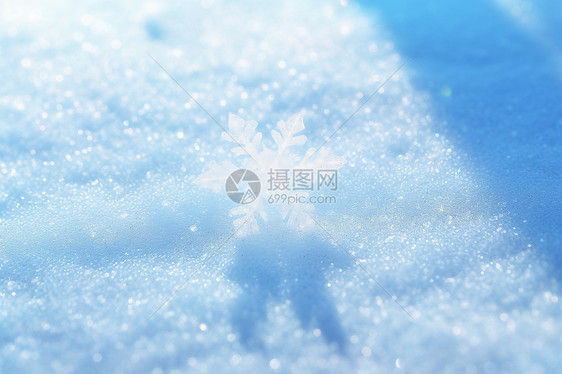 冰雪中的一粒雪花图片