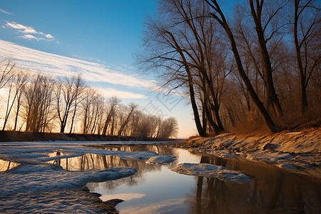 多瑙河畔冰雪与树林的倒影图片