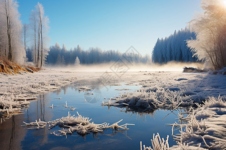 森林中冰冻的湖泊图片