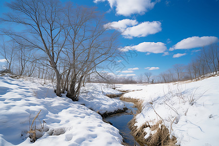 冬季的雪地小溪图片