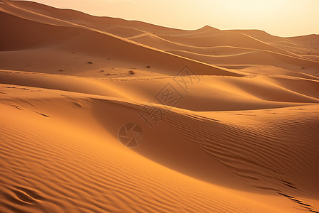 沙漠之美背景图片