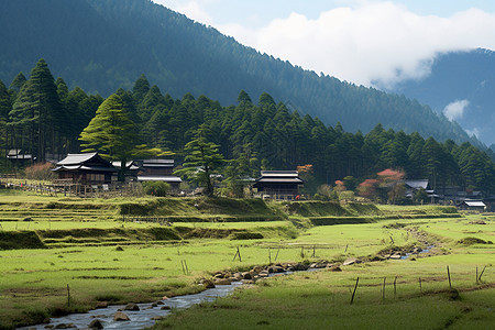 乡村景色图片