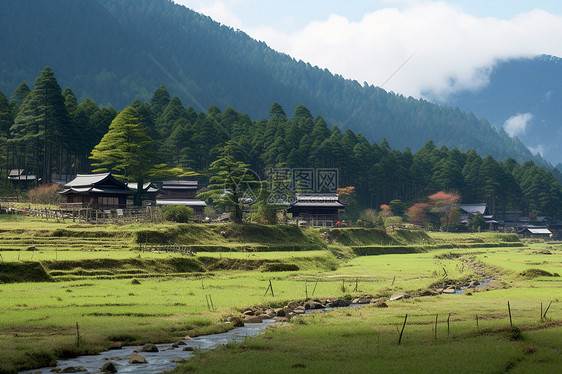 乡村景色图片