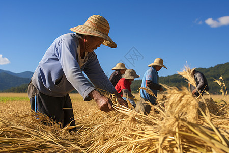 田间劳作的农民背景图片