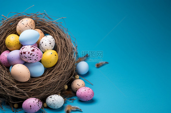 鸟巢中干的艺术彩蛋图片