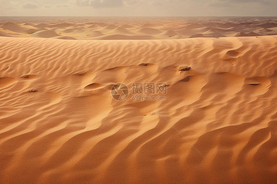 沙漠之旅图片