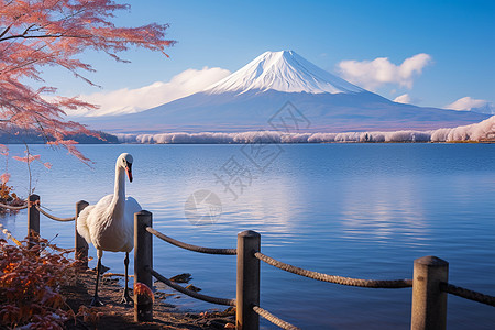 日本富士山图片