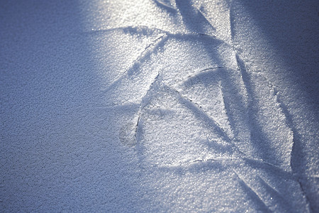 阳光下雪地的冰雕背景图片