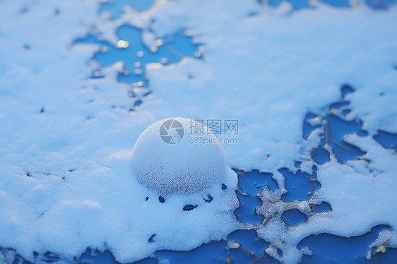 雪地上的雪球图片