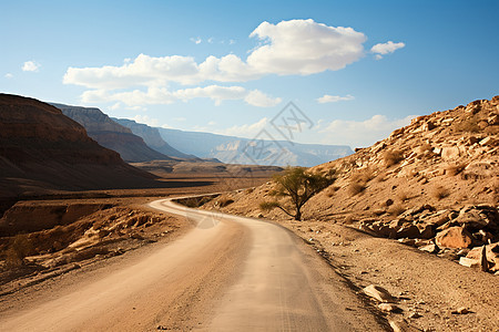 孤独的沙漠之旅图片