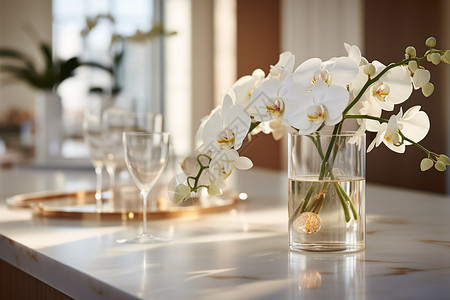 餐桌上的白色兰花图片