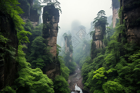 云雾缭绕的山峰图片