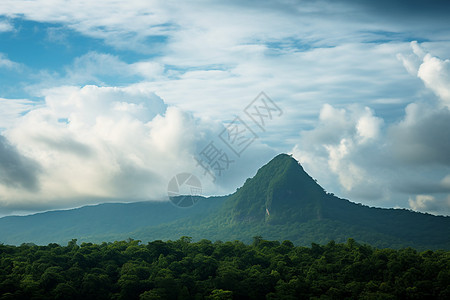 云雾中的热带山林图片