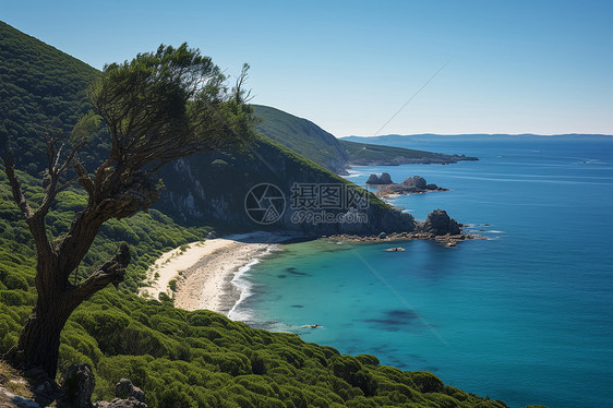 美丽的沿海景观图片