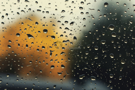 模糊背景下的雨水图片