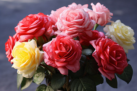 一束玫瑰浪漫的玫瑰花束背景