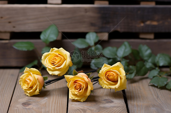 桌上的玫瑰花图片