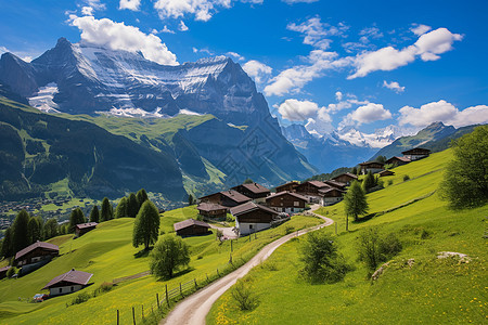 夏季山间乡村的美丽景观图片