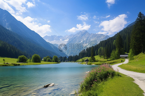 夏季充满生机的高山景观图片