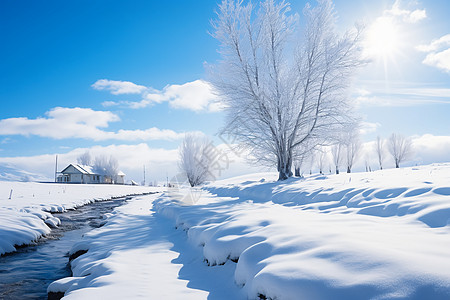 冬季大雪覆盖的林间景观高清图片