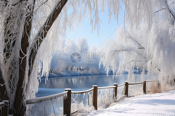 冬季公园中的树挂景观图片
