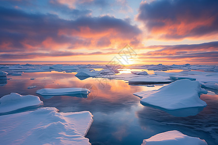 冬季平静海面上的浮冰图片