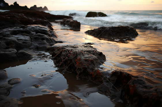 夕阳下岸边的岩石图片