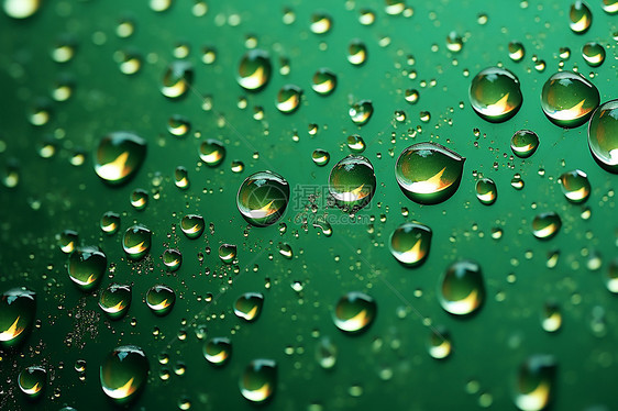 水滴在绿色背景上图片