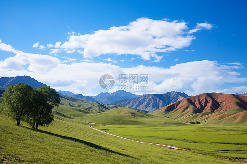 山谷中的树木和草地图片