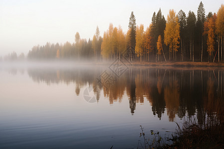 迷雾缭绕的湖泊图片