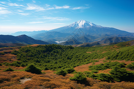 雪山下的山野图片