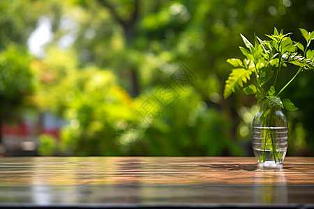 小花瓶里植物绿意中的植物花瓶背景