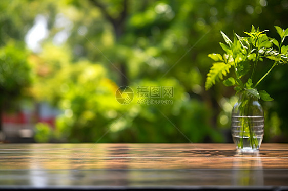 绿意中的植物花瓶图片