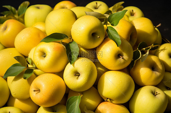 金黄色的苹果堆在桌子上图片