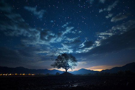 夜空下的树图片