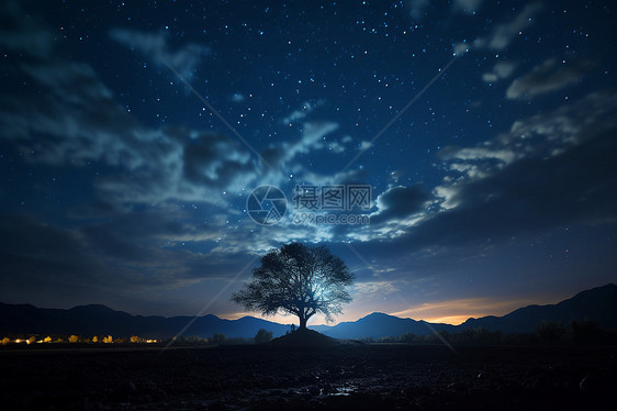 夜空下的树图片