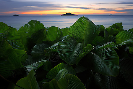 海上日落与几座岛屿的美景图片